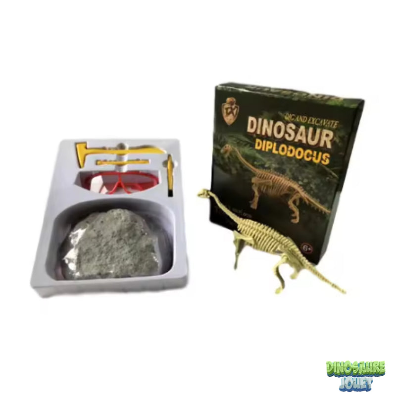 Dino excavation kit diplodocus