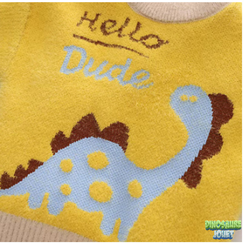 Pull enfant dinosaure