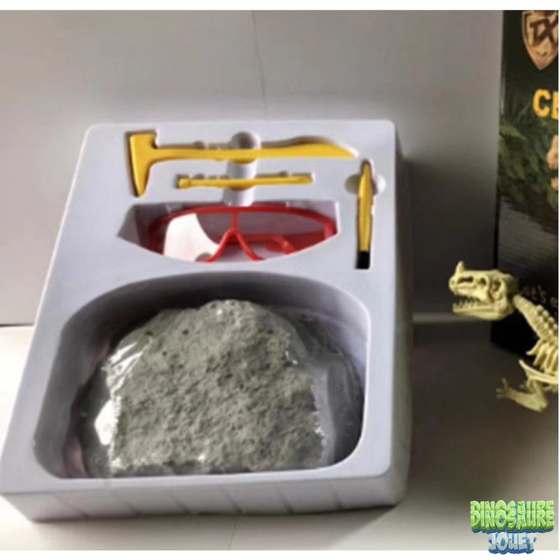 Triceratops excavation kit