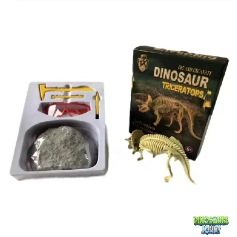 Triceratops excavation kit