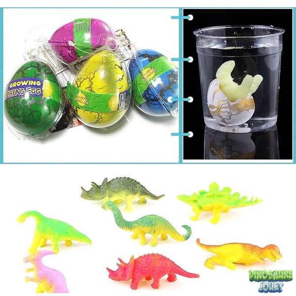 Œufs Dinosaure à éclore dans l'eau - Jeu Scientifique - Lot de 5 œufs de  dinosaure en plastique