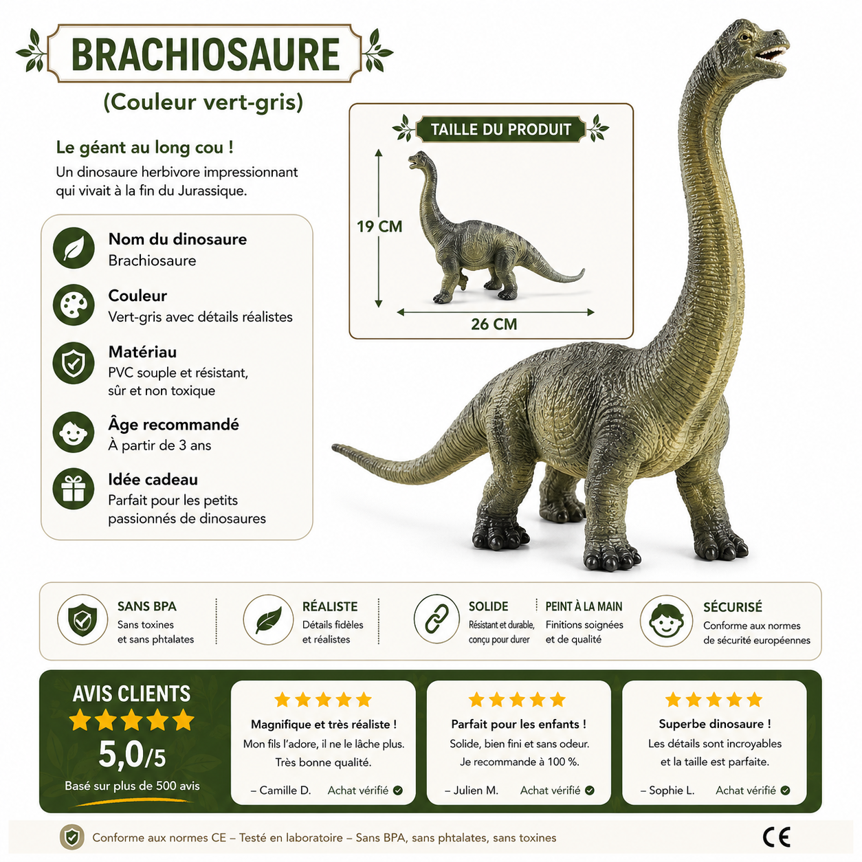 Dinosaures en détail Brachiosaure