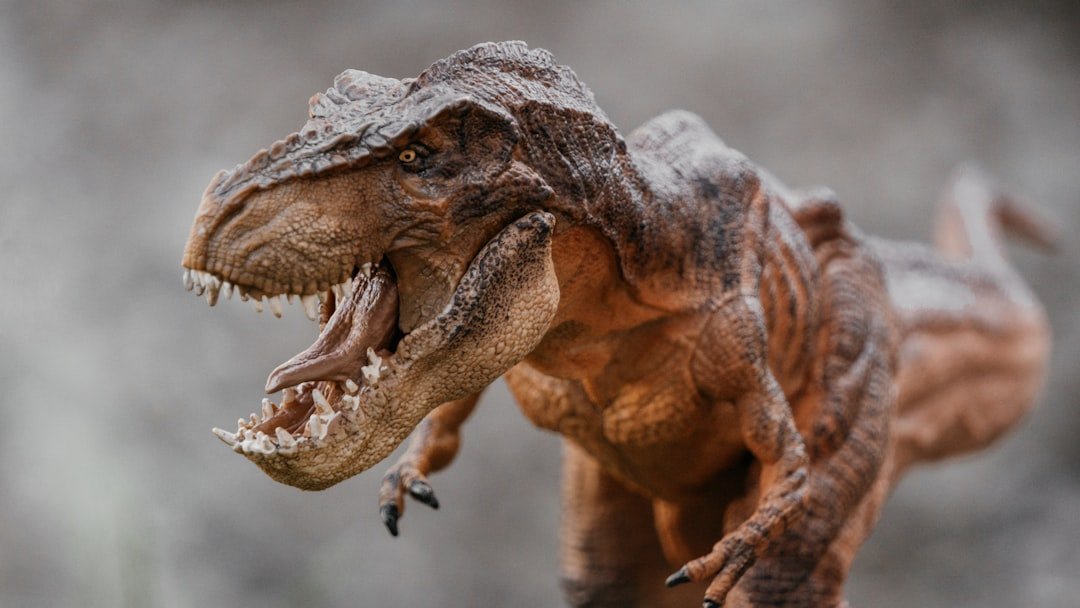 collection-05 Tyrannosaurus Rex Toy