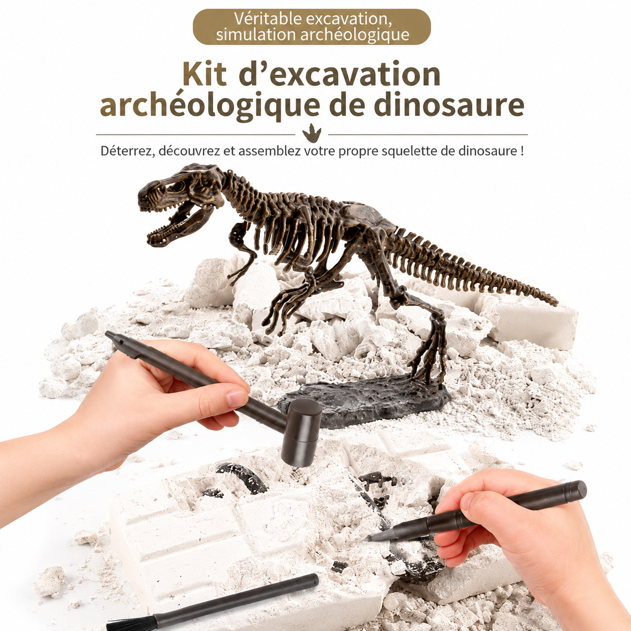 Coffret complet de fouille dinosaure