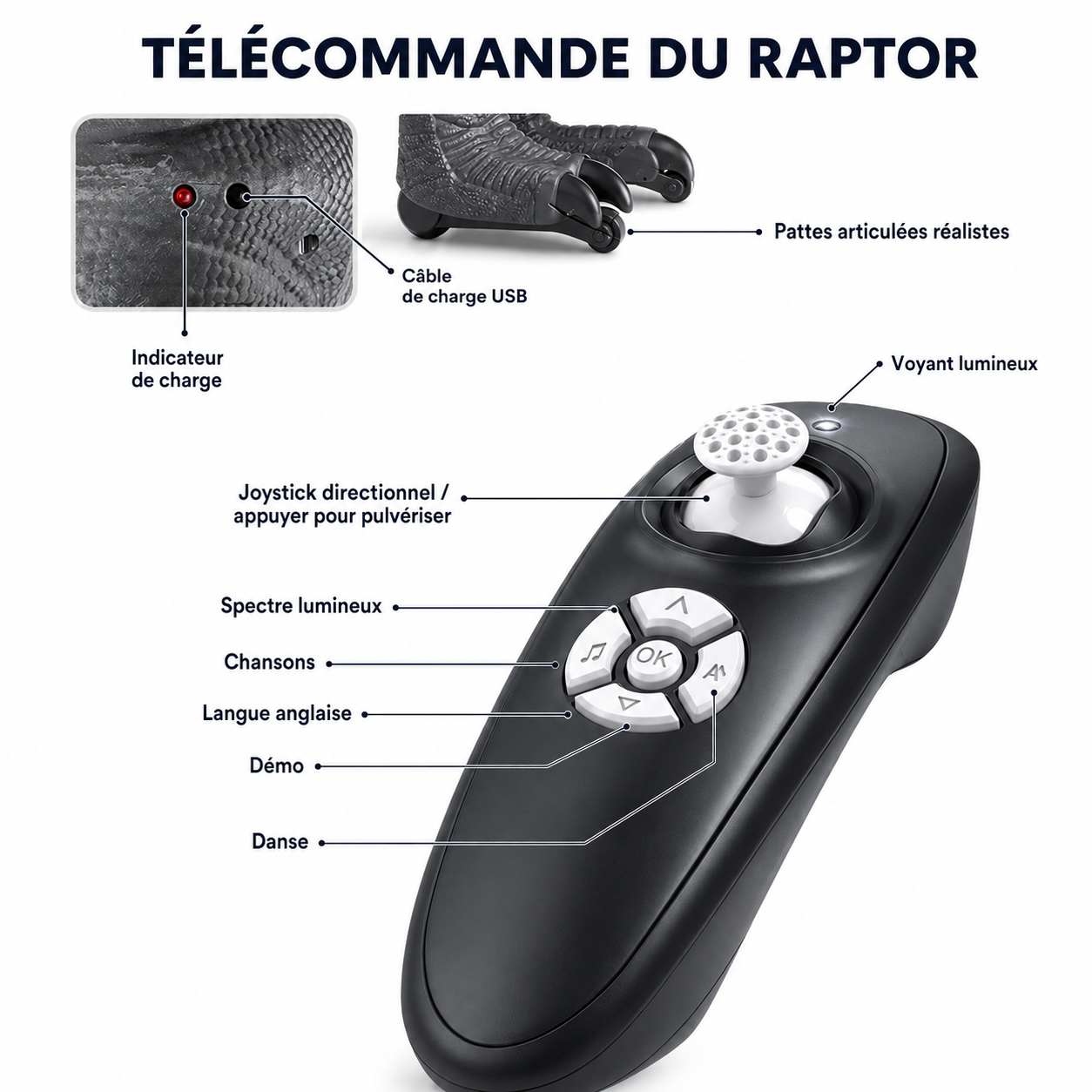 Infographie de la télécommande du Raptor