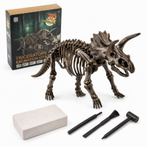 Kit d’excavation Tricératops 3D