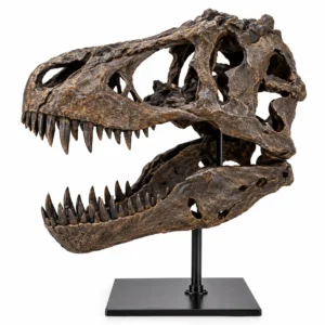 crane de dinosaure en resine sculpture artisanale pour decoration de bureau