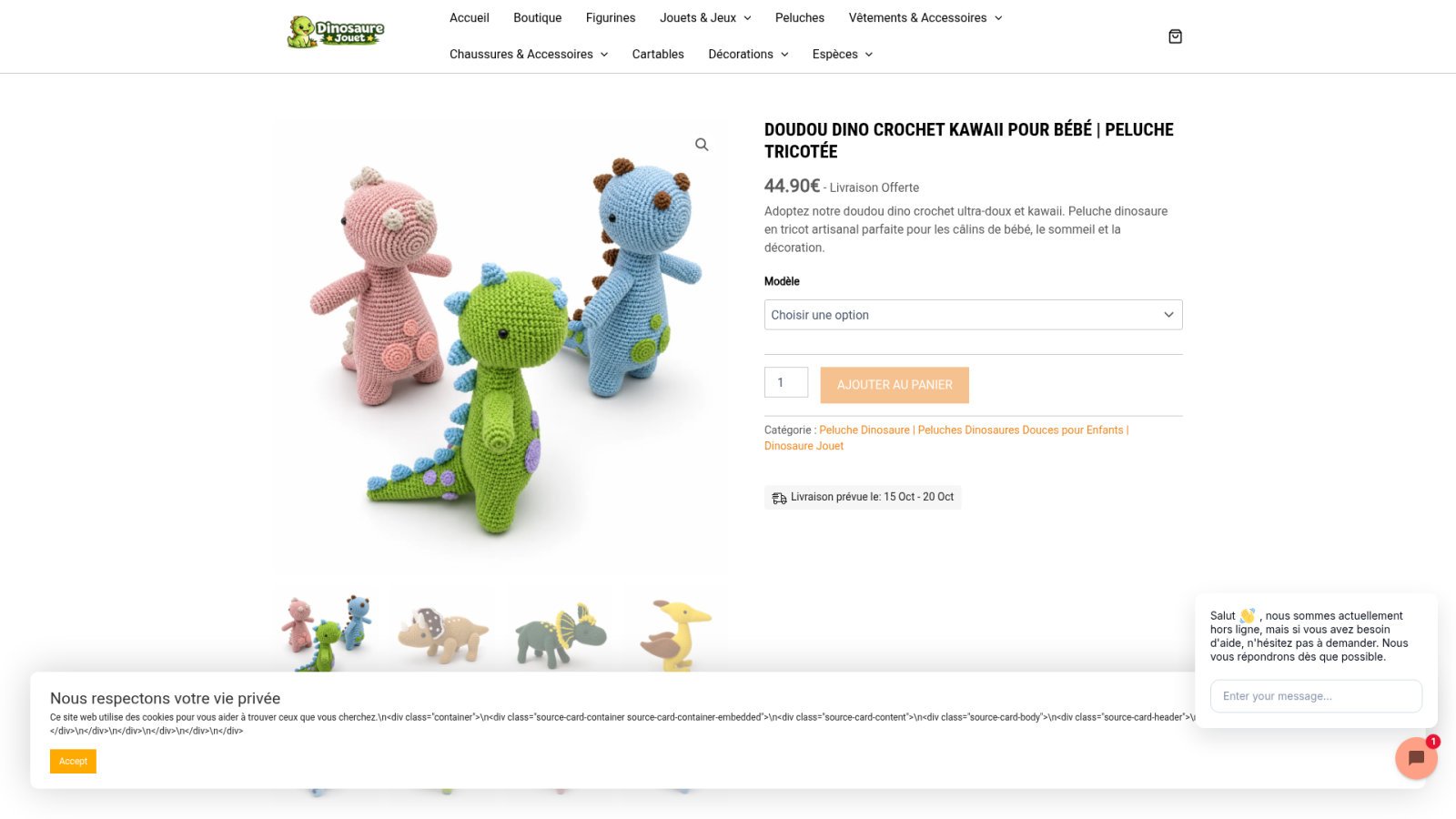 Astuces pratiques pour une adoption réussie